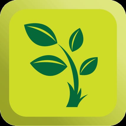 Communauté de bienfaisance